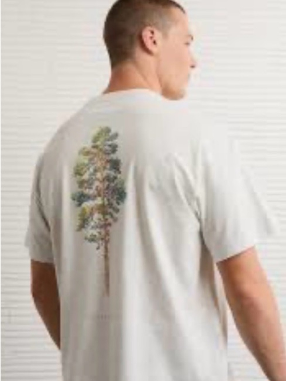 American Eagle Outfitters Boxy Destination Graphic Tee - Size M